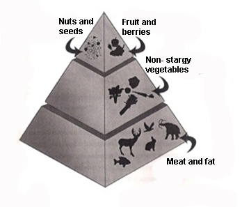 Heal The Cause - Ancient food pyramid